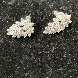 Silver Leaf Earrings